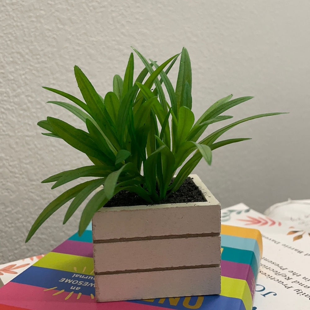 Small fake plant